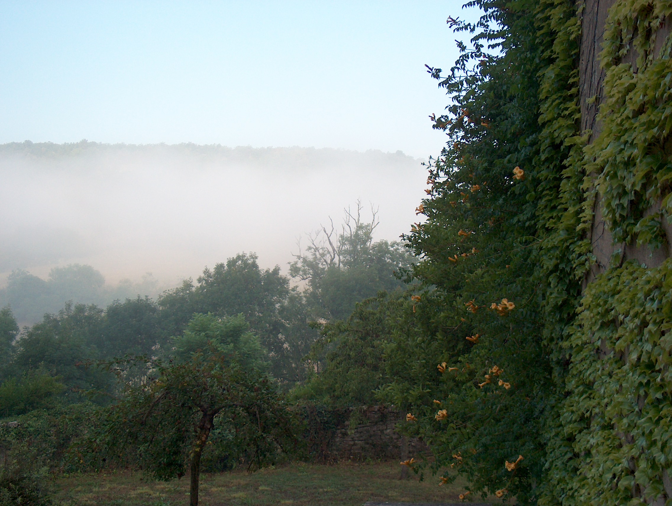 HPIM0729.JPG
